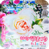 金澤翔子ポスター